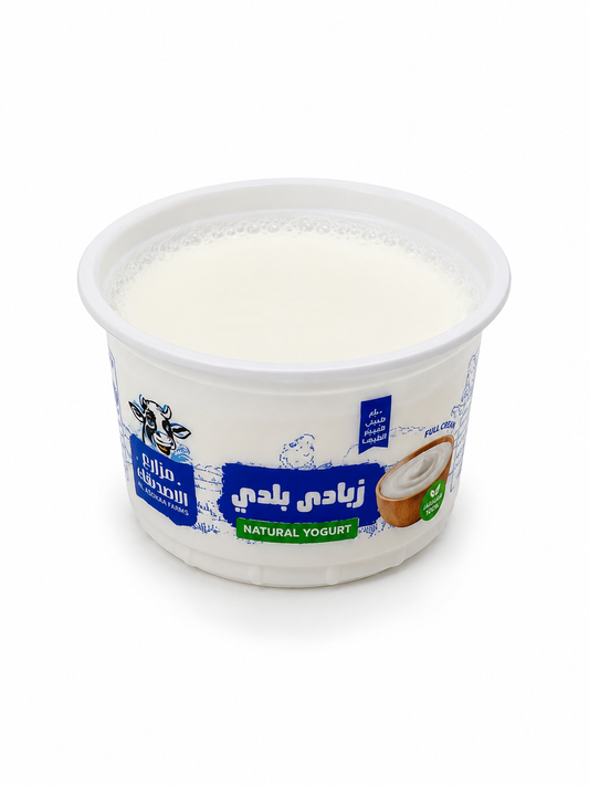 زبادي بلدي كبير 200 جرام